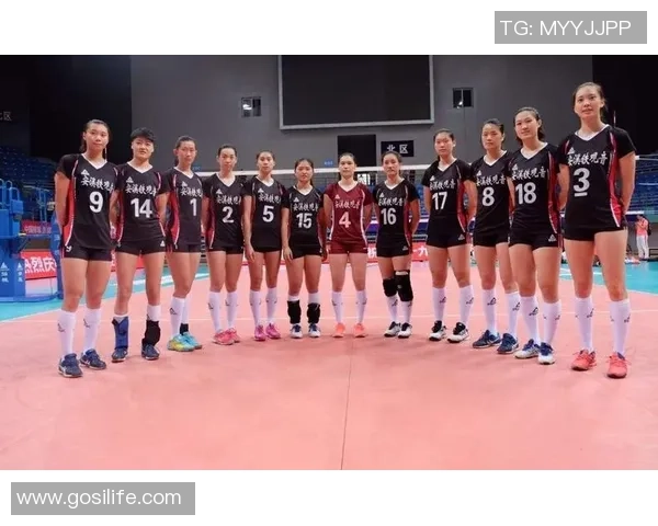 排球团队协作实力榜单公布上海排球队荣获第十名佳绩