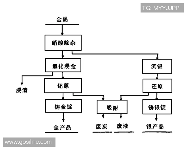 成都网球队的战术创新与转换体系探讨与实践分析